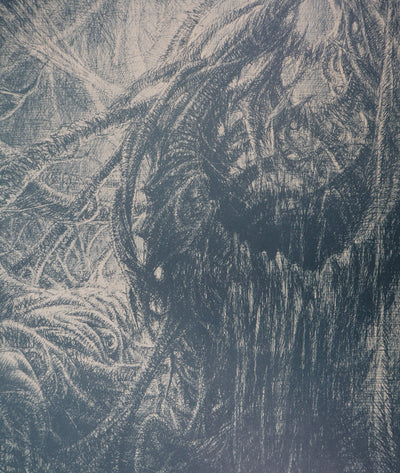 Jean-Michel MATHIEUX-MARIE : La rébellion de la nature, 1992 - Affiche (détail)