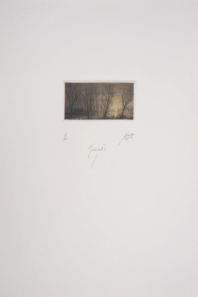 Jean-Michel MATHIEUX-MARIE : Lac au crépuscule - Gravure (détail)