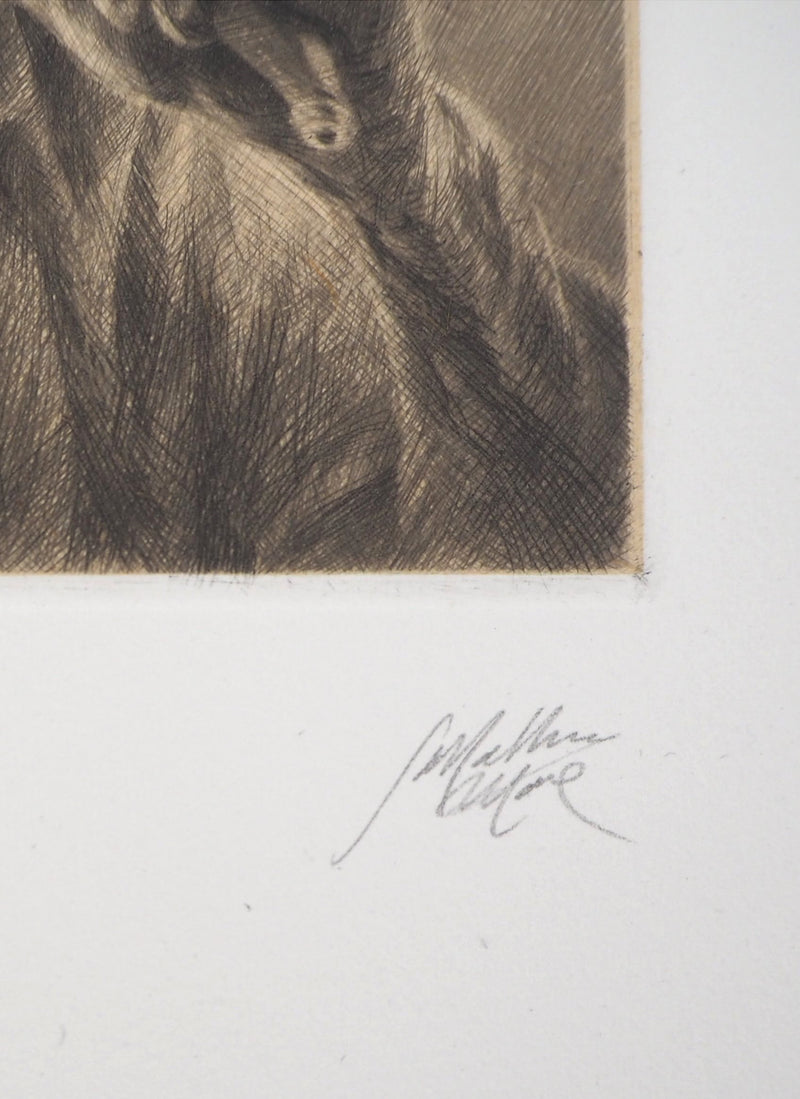 Jean-Michel MATHIEUX-MARIE : Regard bestial - Gravure (détail)