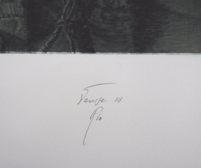 Jean-Michel MATHIEUX-MARIE : Venise, la ville sur l&