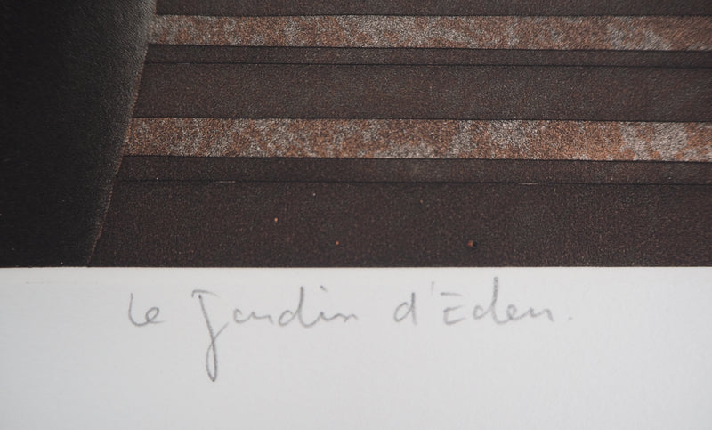 Michel MATHONNAT : Le jardin d&