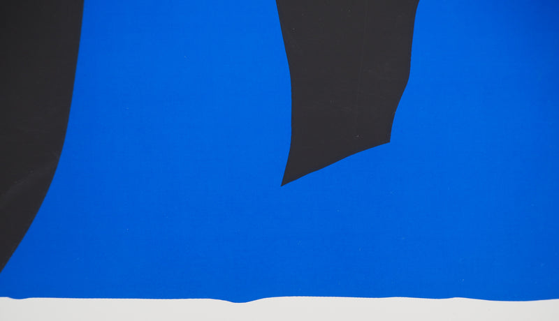 Henri MATISSE : La chute d&