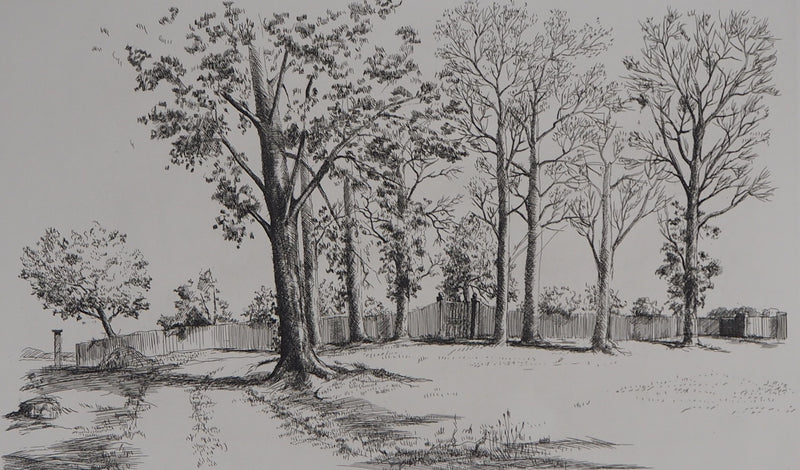Louis MEZIN : Paysage aux arbres - Gravure (détail)