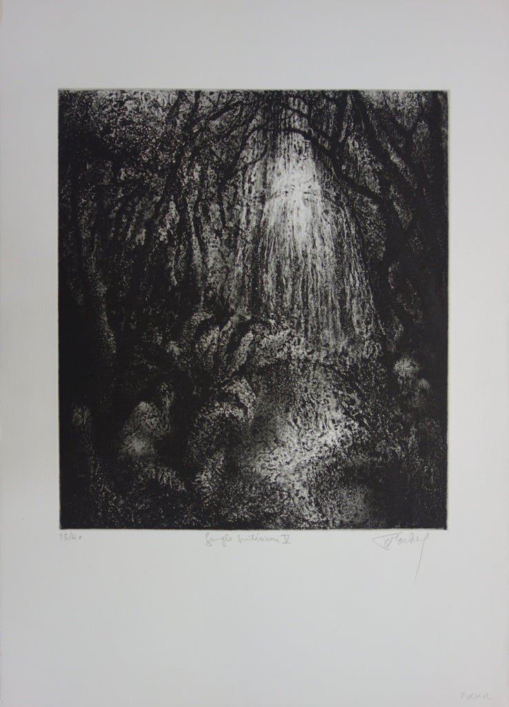 Francis MOCKEL : Jungle intérieure - Gravure
