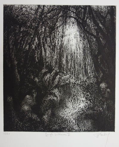 Francis MOCKEL : Jungle intérieure - Gravure (détail)