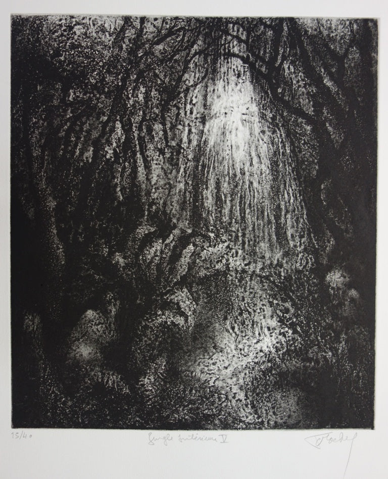 Francis MOCKEL : Jungle intérieure - Gravure (détail)