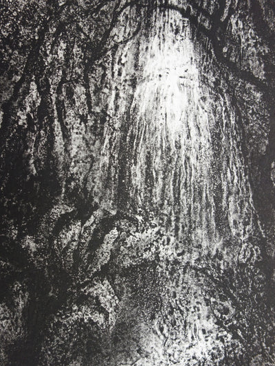 Francis MOCKEL : Jungle intérieure - Gravure (détail)