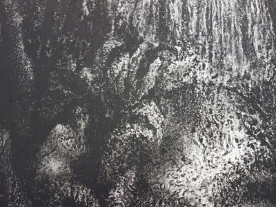 Francis MOCKEL : Jungle intérieure - Gravure (détail)