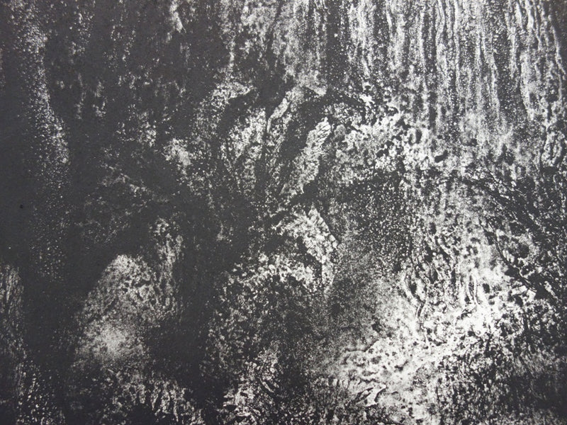 Francis MOCKEL : Jungle intérieure - Gravure (détail)