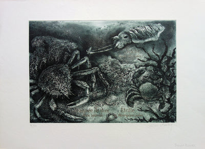 Francis MOCKEL : Monde sous-marin - Gravure