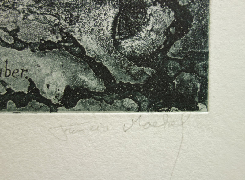 Francis MOCKEL : Monde sous-marin - Gravure (détail)