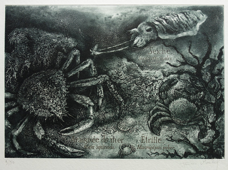 Francis MOCKEL : Monde sous-marin - Gravure (détail)