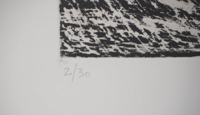 Francis MOCKEL : Nageuse II - Gravure (détail)