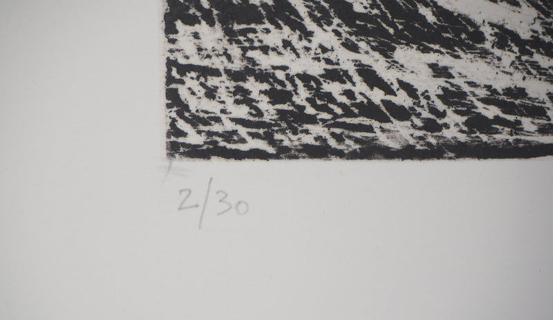 Francis MOCKEL : Nageuse II - Gravure (détail)