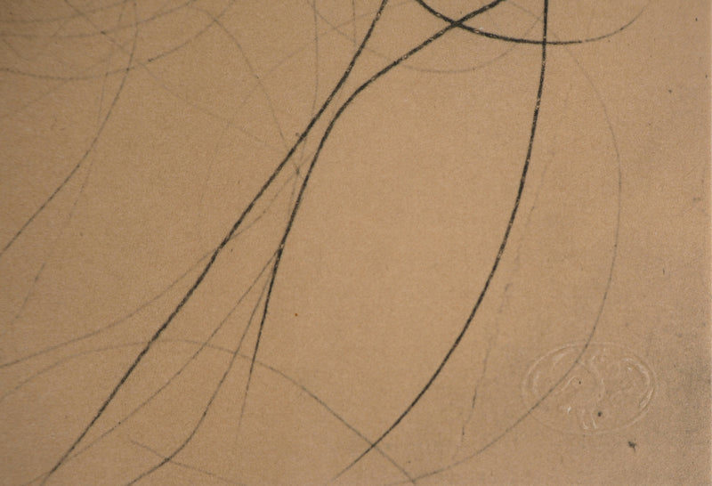 Amedeo MODIGLIANI : Portrait de Diego Riviera, 1959 - Lithographie (détail)