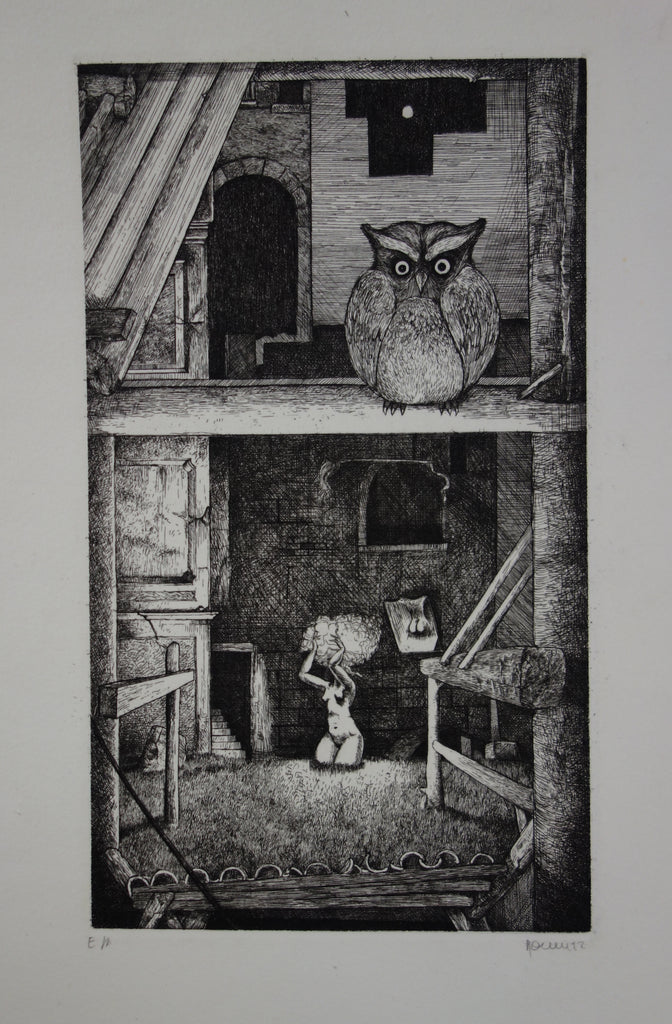 mohlitz-gravure-sous-toits-