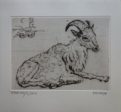 Mordecaï MOREH : Un bouc se reposant - Gravure