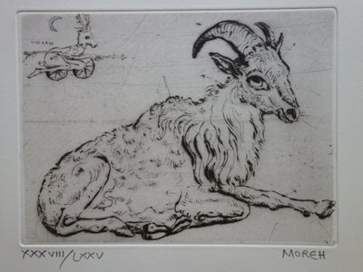 Mordecaï MOREH : Un bouc se reposant - Gravure (détail)