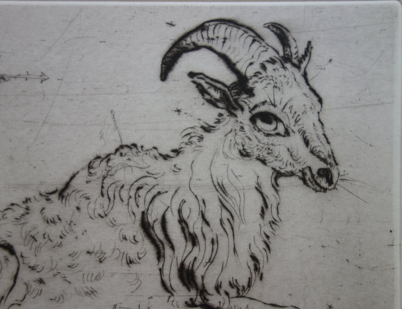Mordecaï MOREH : Un bouc se reposant - Gravure (détail)
