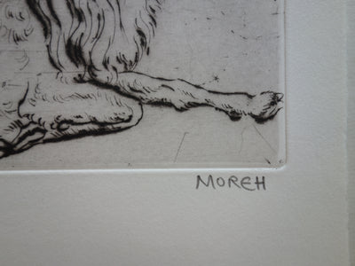 Mordecaï MOREH : Un bouc se reposant - Gravure (détail)