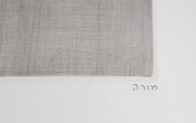 Mordecaï MOREH : Le jeune noble tiré par un animal - Gravure (détail)