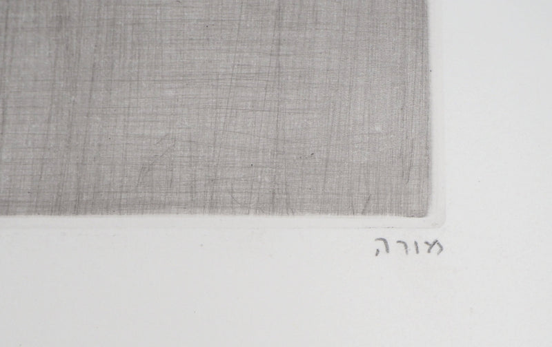 Mordecaï MOREH : Le jeune noble tiré par un animal - Gravure (détail)