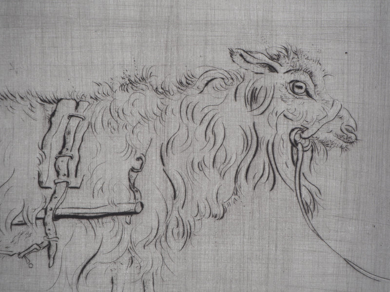 Mordecaï MOREH : Le jeune noble tiré par un animal - Gravure (détail)