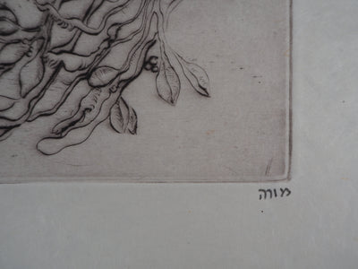 Mordecaï MOREH : L'oiseau du printemps - Gravure (détail)