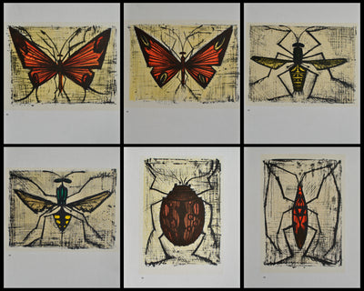 Bernard BUFFET : Les insectes, Lithographie originale (vue générale) - Crédit photo : Galerie Art.Paris