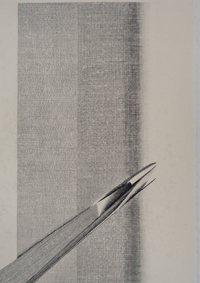 Jacques MURON : Aérien, 1992 - Gravure (détail)