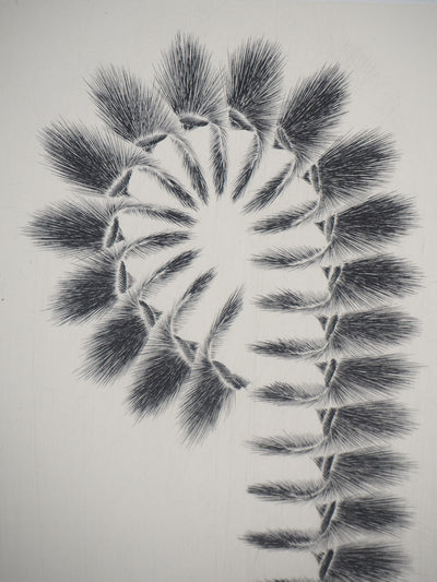 Jacques MURON : Crosse, 1996 - Gravure (détail)