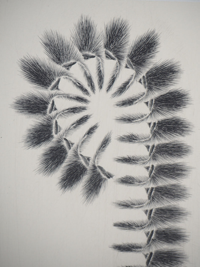 Jacques MURON : Crosse, 1996 - Gravure (détail)