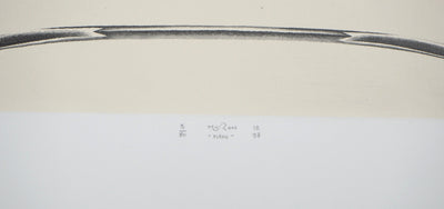 Jacques MURON : Plane, 1997 - Gravure (détail)