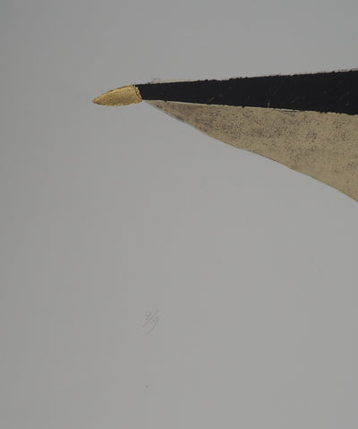 Jan NAEZER : Plume d'écriture, 1994  - Gravure (détail)