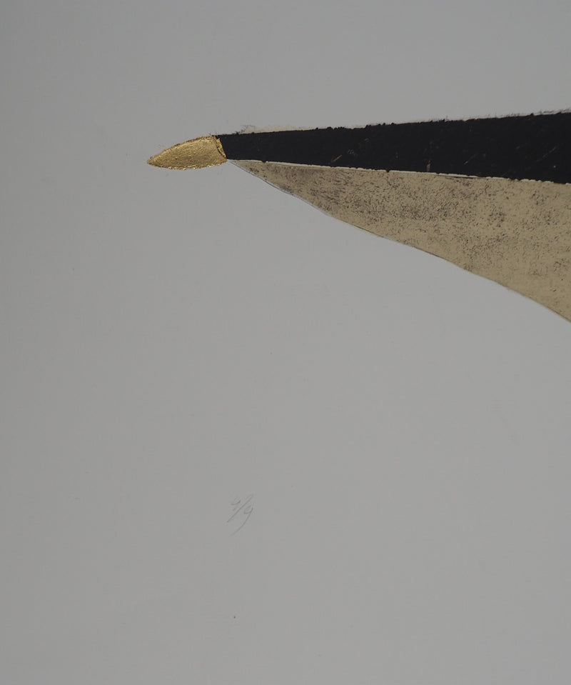 Jan NAEZER : Plume d&