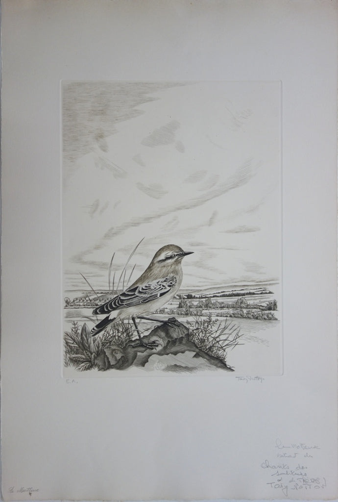 Tavy NOTTON : Moineau solitaire - Gravure