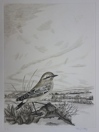 Tavy NOTTON : Moineau solitaire - Gravure (détail)
