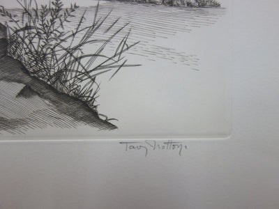 Tavy NOTTON : Moineau solitaire - Gravure (détail)