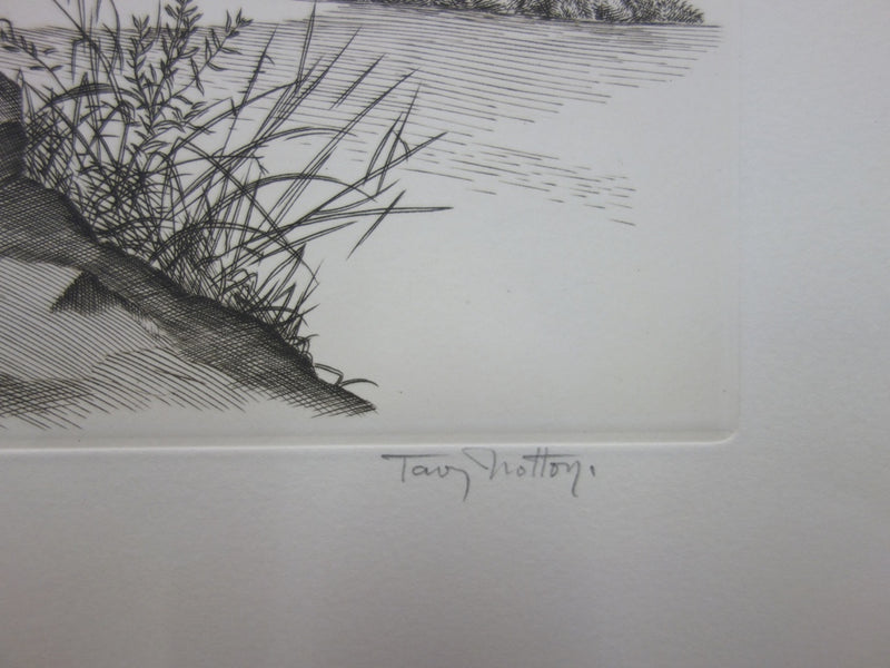 Tavy NOTTON : Moineau solitaire - Gravure (détail)