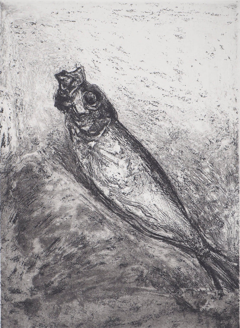 Didier PAGUIGNON : Hareng fumé - Gravure