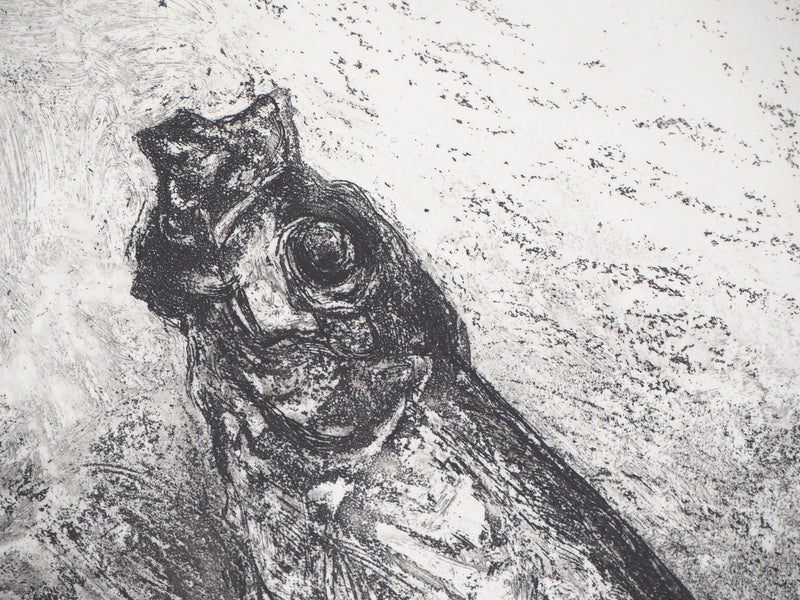 Didier PAGUIGNON : Hareng fumé - Gravure (détail)