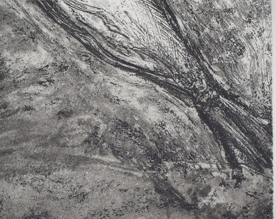 Didier PAGUIGNON : Hareng fumé - Gravure (détail)