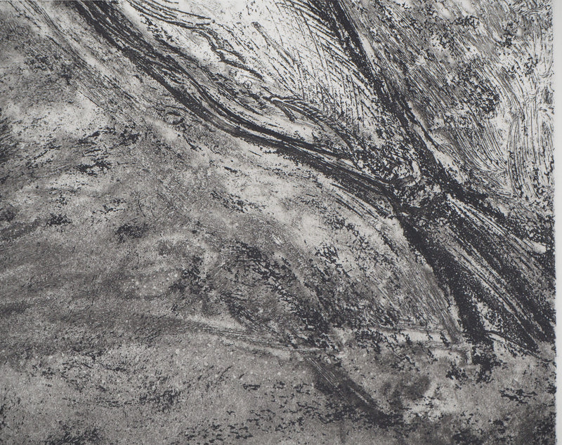 Didier PAGUIGNON : Hareng fumé - Gravure (détail)