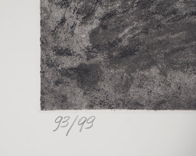 Didier PAGUIGNON : Hareng fumé - Gravure (détail)