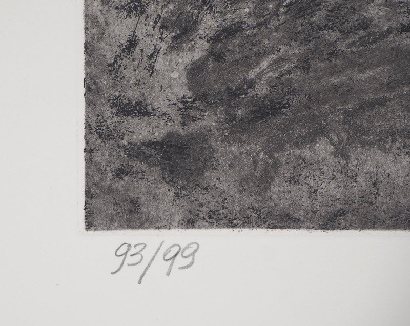 Didier PAGUIGNON : Hareng fumé - Gravure (détail)