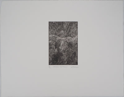 Monique PALAYER, : Passage du temps - Gravure (détail)