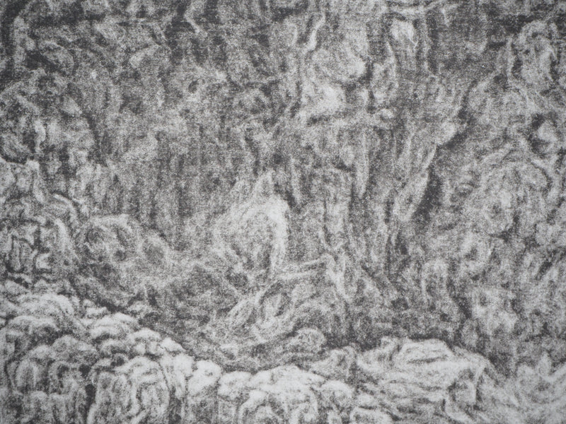 Monique PALAYER, : Passage du temps - Gravure (détail)