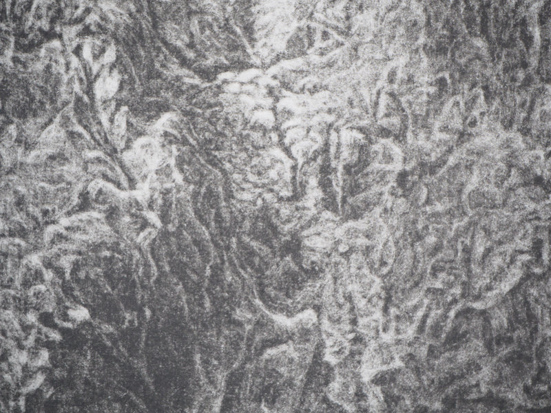 Monique PALAYER, : Passage du temps - Gravure (détail)