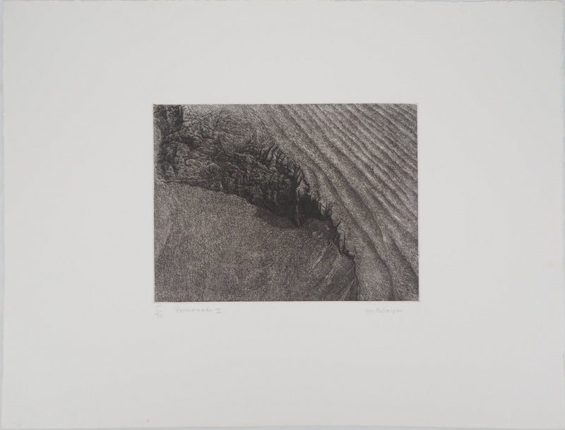 Monique PALAYER, : Promenade I - Gravure (détail)
