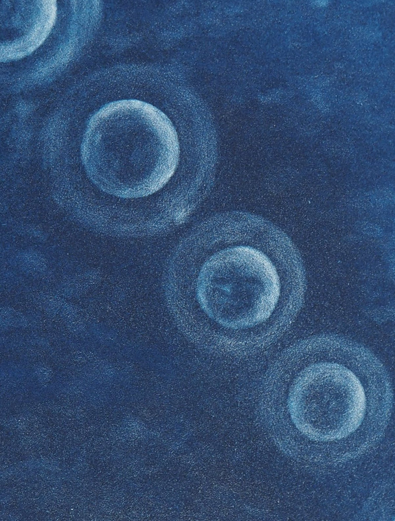 Teresa PANASIUK : La lune - Gravure (détail)